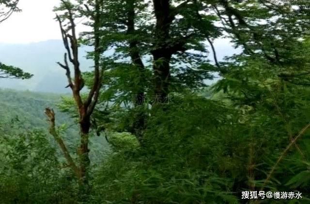 全国有多少孝生2O23年？游戏画面