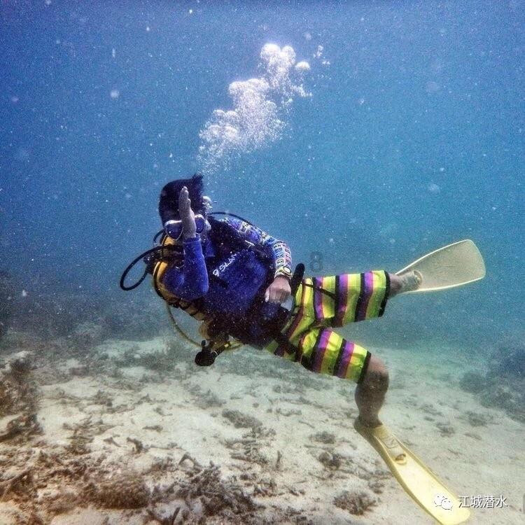 精灵的冒险之旅